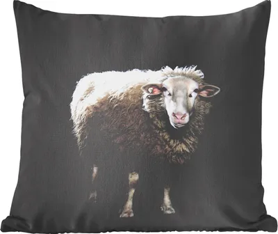 Produktbild von MuchoWow® Zierkissen Sofakissen Wohnzimmer Dekokissen 60x60 cm Schafe - Nutztiere - Schwarz - Sitzfläche - Foto Polster