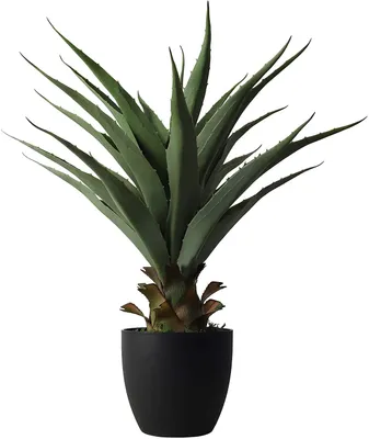 Künstliche Agave, 68,6 cm, grün, im Topf, Büro-Deko