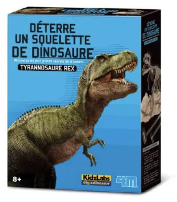 Immagine prodotto di Graine Creative Doodle tuo dinosauro Tyrannosaurus Rex
