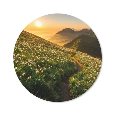 Produktbild von MuchoWow® Mauspad Mousepad Blumen - Sonne - Berge 20x20 cm - Mousepads - Maus Mat - Pad - Mausunterlage - Schreibtischmatte