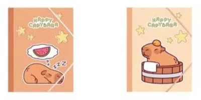 Image de CAPYBARA Chemise A4 à élastique MIX - Koh-I-Noor