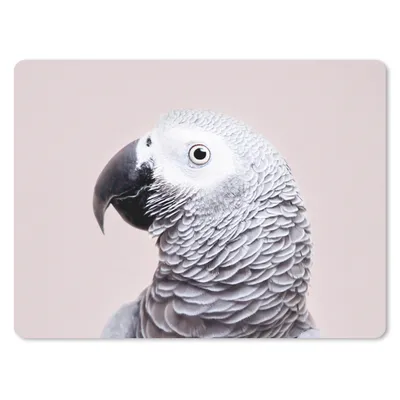 Produktbild von MuchoWow® Mauspad Mousepad Papagei - Grau - Tiere - Natur 40x30 cm - Mousepads - Maus Mat - Pad - Mausunterlage - Anti Rutsch