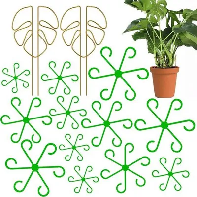 Image de Support pour plantes grimpantes, 14 pièces, vert