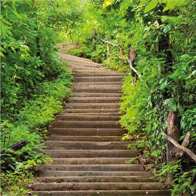 Produktbild von Wallario Outdoor-Poster für Garten oder Balkon, Motiv Steintreppe im Wald, in ca. 180 x 180 cm