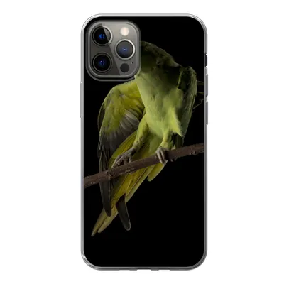 Produktbild von MuchoWow® Handyhülle Schutzhülle Hülle für iPhone 12 Pro Papagei - Vogel - Zweig Silikon Softcase Handy Hülle