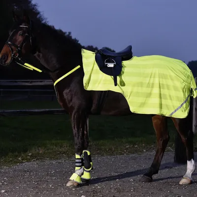 Image de Couvre-reins Busse REFLECTION - jaune