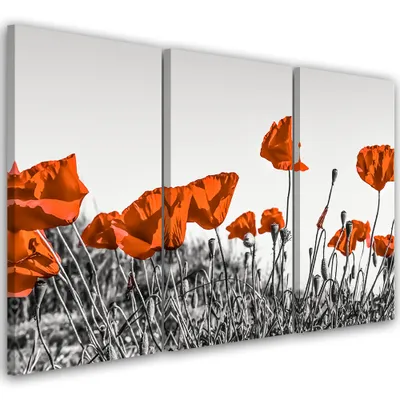 Produktbild von Triptychon auf leinwand blumen - rot 120x80 cm Feeby rot wandbild bereit zum aufhängen