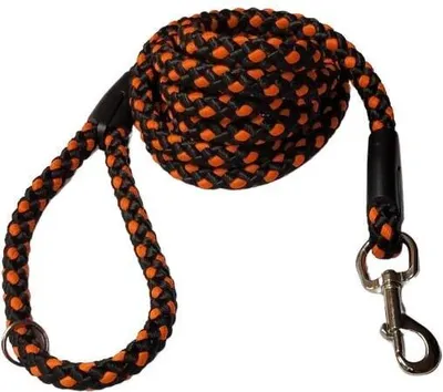 Produktbild von Palkar Hundeleine 3 m x 14 mm schwarz-orange