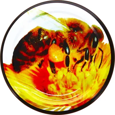 Produktbild von 66er Twist Off Deckel Biene im praktischen 60er Pack