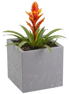 Image de HowHomely | Pot de fleurs - bac à fleurs - gris - 30 x 30 x 30 cm - cache-pot - sur roulettes - aspect béton