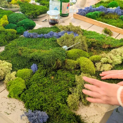 Produktbild von Jochen Schweizer Workshop Bottrop (Moosbild); Erlebnis verschenken oder selbst erleben;  Gutschein gültig für 1 Person Gruppengröße: 4-12 Personen