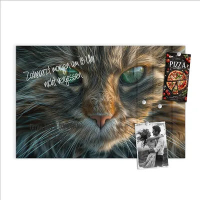 Produktbild von Magnettafel 60x40cm Pinnwand Whiteboard beschreibbar - Nahaufnahme Katze