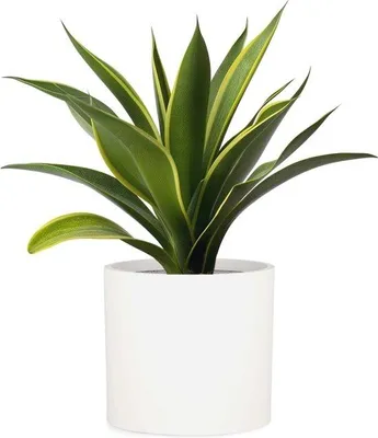 Immagine prodotto di Vaso da fiori in Vetroceramica per interni ed esterni - Design elegante con funzione di drenaggio, 30 cm