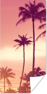 Produktbild von MuchoWow® Poster Himmel - Palme - Abend - Natur - Tropisch 20x40 cm - Plakat - Foto