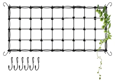 Produktbild von Pflanzenstütznetz für Kletterpflanzen, 120 x 240 cm