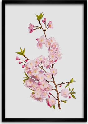 Produktbild von Bild - Bilderrahmen - 50 cm x 70 cm - MDF - Rahmen - Wandkunst Kirschblüten
