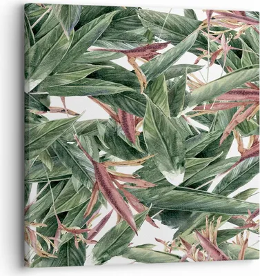 Produktbild von Bild auf Leinwand - Leinwandbild - Pflanze Blatt Blume - 30x30cm - Wand Bild - Wanddeko - Wandbilder - Leinwanddruck - Bilder - Kunstdruck - Wanddekoration - Leinwand bilder - Wandkunst - AC30x30-3844