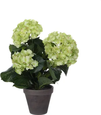 Produktbild von Mica Decorations Hortensien Kunstpflanze im Blumentopf Stan - H40 x Ø35 cm - Grün