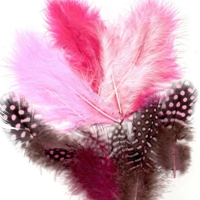 Image de Vaessen Creative | Plumes de marabout et de pintade, 5-13 cm, 18 pièces, pour fille