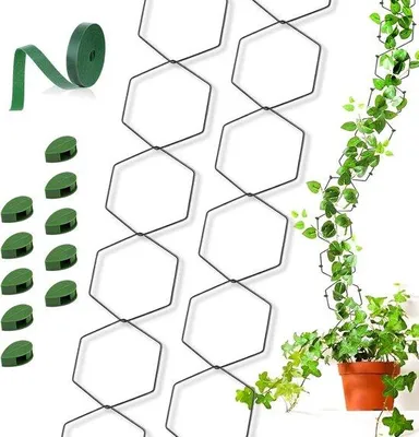 Image de Support pour plantes d'intérieur avec 1 mètre de serre-câbles et 10 crochets