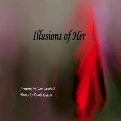 Produktbild von Illusionen von ihr