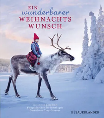 Produktbild von Ein wunderbarer Weihnachtswunsch. Miniausgabe