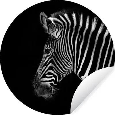 Produktbild von MuchoWow® Runde Wandtattoo - Wandsticker Tapete Aufkleber Zebra - Wilde Tiere - Schwarz Ø 100 cm Selbstklebend und Repositionierbar - Wandaufkleber - Kreis - Tapetenkreis - Wandbild rund - Schlafzimmerdekoration - Wanddeko - runde Tapete - Kunst für zu Hause