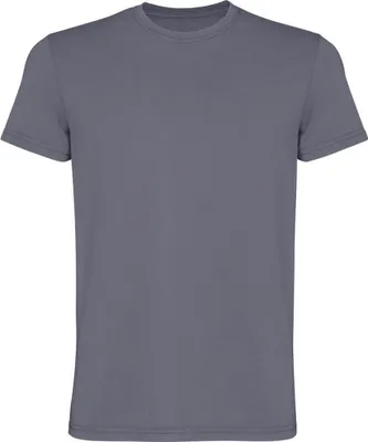 Produktbild von Roly - "Corgi" T-Shirt für Herren, kurzärmlig PF4902 (S) (Dunkelgrau)