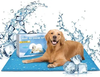 Produktbild von Famanu Kühlmatte für Hunde - selbstkühlende Gelmatte, XL 70 x 110 cm