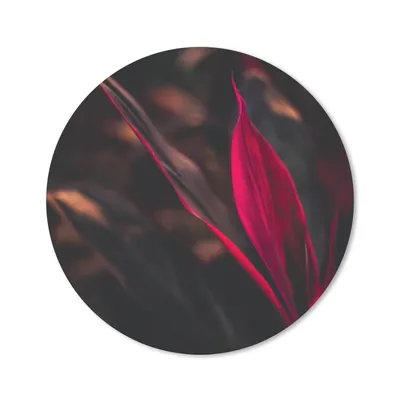Produktbild von MuchoWow® Mauspad Mousepad Stilleben - Blätter - Pflanzen - Rot 50x50 cm - Mousepads - Maus Mat - Pad - Mausunterlage - Vinyl