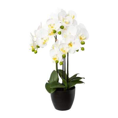 Produktbild von GASPER Schmetterlingsorchidee - Phalenopsis Weiß 4 Blütenrispen schwarzer Resintopf 55 cm - Kunstpflanzen