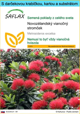 Obrázok produktu pre SAFLAX Darčeková sada - Novozélandský vianočný stromček - Metrosideros excelsa - 300 Semená - S darčekovou krabičkou, prepravným štítkom, darčekovou kartou a pestovateľským médiom