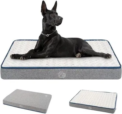 Image de Lit pour chien imperméable XXL 112 x 76 x 7,5 cm, mousse de soutien