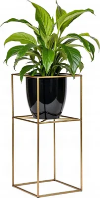 Produktbild von FRAMADO, Pflanzenständer Filo, Metallregal, Blumenständer, 24x24x40cm, Gold