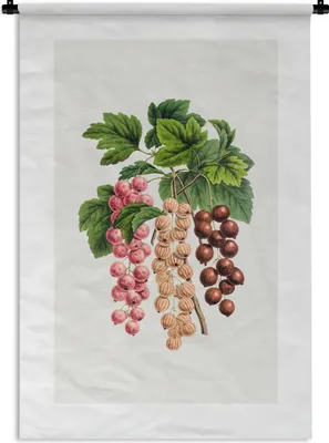 Produktbild von MuchoWow® Wandteppich Wandbehang Obst - Beeren - Lebensmittel 60x90 cm Tapisserie Dekoration Wandtuch - Foto-Teppich - Abwaschbar