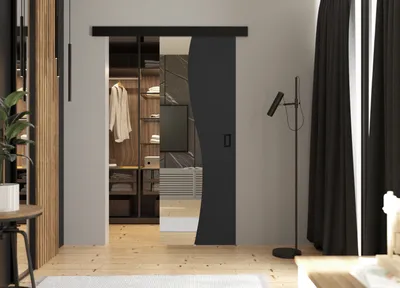 Produktbild von KIER FURNITURE Schiebetüren mit Spiegeln FALA - 66x205x1,6 cm - Graphit