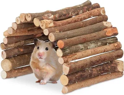 Produktbild von Famanu Tunnel für Nager aus Holz - 20x40 cm