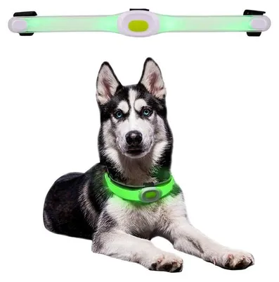 Immagine prodotto di Luce LED inSPORTline sul collare Petsaber Maxi