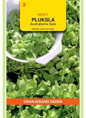 Immagine prodotto di Oranjeband: Lattuga Pfluecksalat australiana gialla - 1 confezione di semi