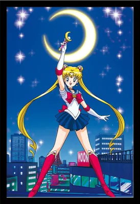 Image de Sailor Moon - Poster - Sailor + cadre amovible, Shinsuke® Maxi MDF noir, vitre acrylique