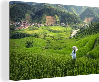 Produktbild von OneMillionCanvasses® - Leinwandbilder - 140x90 cm, Frau in einem Reisfeld in Indonesien, Wandbilder Kunstdruck Wanddekoration