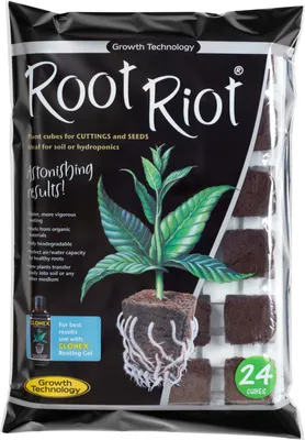 Image de Growth Technology Root Riot 24, cubes de plantation dans un bac 24 pcs