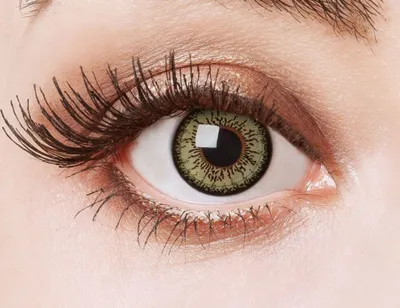 Produktbild von aricona Grüne Farbige Kontaktlinsen Weich Grün Natural Green Silikon