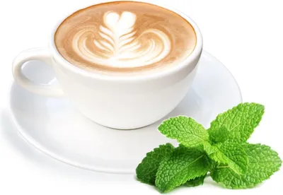 Immagine prodotto di Pfefferminze Cappuccino Pulver 1kg