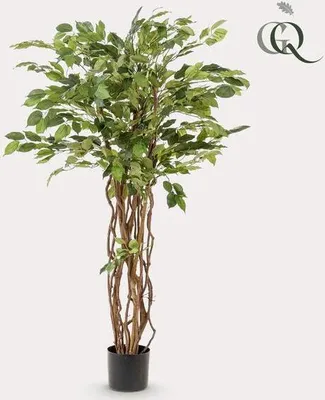 Produktbild von Ficus liana - maceška - umelá rastlina - izbová rastlina - ↕140cm