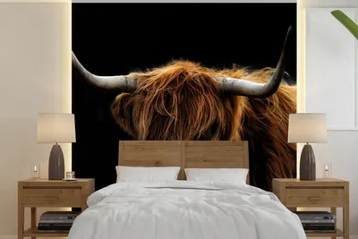 Produktbild von MuchoWow® Fototapete für Wohnzimmer oder Schlafzimmer Wandtapete Vinyl Motivtapete Schottischer Highlander - Hörner - Schwarz - Tiere - Natur - Wild - Kuh - 240x240 cm - Schlafzimmer-Tapete