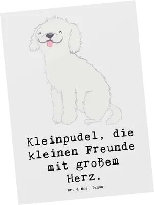 Produktbild von Mr. & Mrs. Panda Postkarte Kleinpudel Liebe - Weiß - Geschenk, Hunderassen Charakter, einzigartiger Hund, Beschreibung, Ansichtskarte, treue Begleiter, Vielfalt