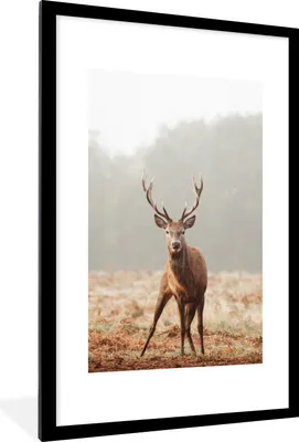 Produktbild von MuchoWow® MuchoWow® Gerahmtes Poster Hirsche - Wald - Nebel 60x90 cm - Poster mit zchwarzem Bilderrahmen - Dekoration - Wandposter Wohnzimmer - Hochwertig
