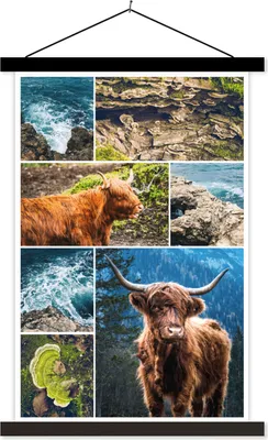 Produktbild von MuchoWow® Textilposter Schottisches Hochlandrind - Collage - Tiere 120x180 cm mit schwarzem Rahmen - Fotos