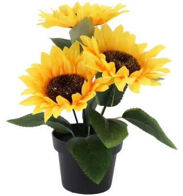 Produktbild von Künstliche Sonnenblumenpflanze, 20 cm